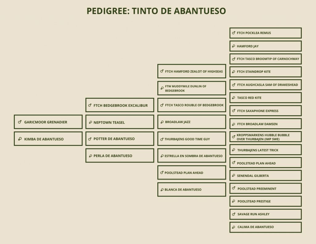 pedigree-tinto